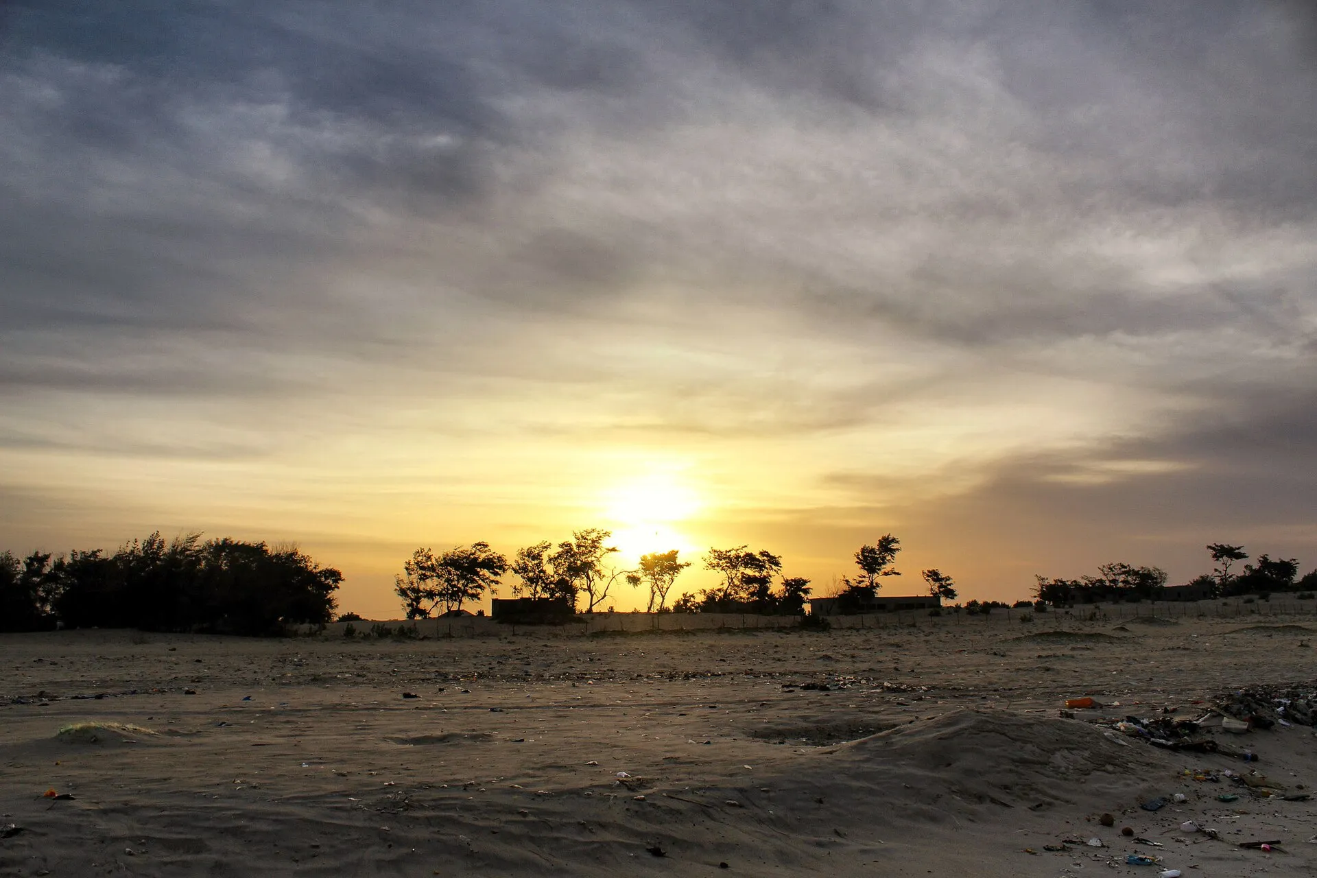 The sun low over a flat coastal horizon with a lone tree silhouette